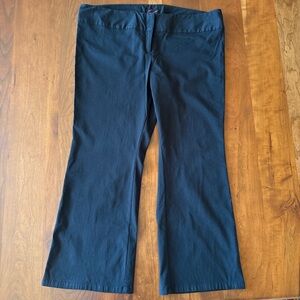 Torrid Black Dress Pants Size 22S